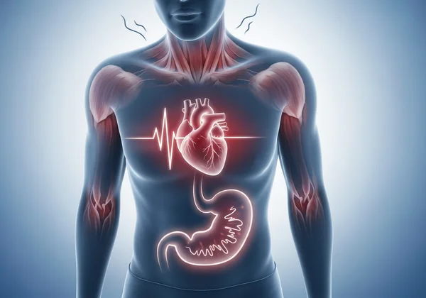 Person feeling anxiety, with heart, head, stomach highlighted.